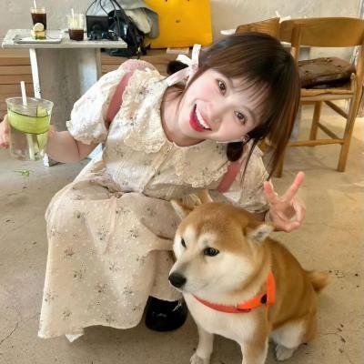 摇晃之地